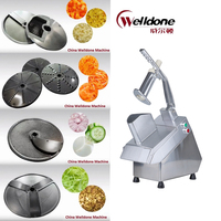 Máquina Multifuncional Motorizada para Frutas y Verduras de Alta Calidad Marca WELLDONE con 1 Año de Garantía, 1000W, de Lujo, en Aluminio Plateado