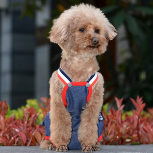 Nueva ropa de primavera y verano para mascotas para gatos, perros y perros pequeños Teddy Bichon <span class=keywords><strong>Hiromi</strong></span> Strap pantalones fisiológicos - Product Image 2