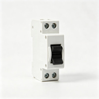 Disjoncteur miniature MCB 1P 16A Courbe C 6KA Rail DIN 230V 400V Interrupteur à air basse tension Protection contre les surcharges et les courts-circuits