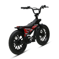 Motocicleta Eléctrica Mini TXED de Alta Calidad con Marco de 16 Pulgadas, Motor sin Escobillas de 36V/250W de una Sola Velocidad, Batería de Litio de 7.8Ah para Niños