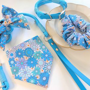 Sunraymascota - Juego de Correa y Arnés de Lujo para Perro, Personalizado, Impermeable, con Herrajes Personalizados, Duradero para Mascotas - Product Image 1