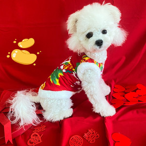 Autumn Winter Floral Coats <b>For</b> <b>Small</b> Medium <b>Dogs</b> Cats Red Festival Clothing Teddy Bichon Frise Schnauzer Cotton Padded <b>Clothes</b> - Product Image 1