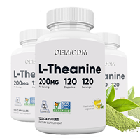 OEM ODM L-Théanine 200mg Compléments alimentaires naturels de haute qualité pour favoriser le sommeil et soulager le stress Capsules végétariennes
