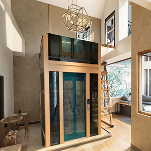 Gse hiện đại 2-4 hành khách dân cư thang máy nhà nhỏ sử dụng thang máy cá nhân không hộp số PVC AC cho nhà nhỏ Công suất 320kg - Product Image 2