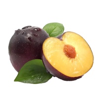Hete Aanbiedingen Voedingsmiddelenkwaliteit Puur Natuurlijk Groothandel Zwarte Pruimen Vruchtensap Poeder Fruitextract Vitamine