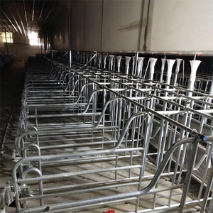 Gabbia per Gestazione Suini a Basso Costo, Stalla per Maiali da Allevamento - Product Image 5