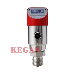 Digital Differential Pressure Gauge With Pressure Transmitter