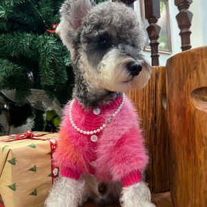 Ropa para Perros al por Mayor, Linda y Personalizada para Bodas y San Valentín, Ropa de Lujo para Mascotas, Ropa de Boutique para Perros - Product Image 4