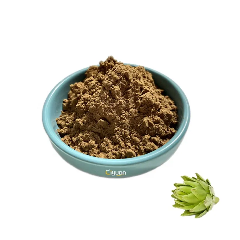 Hot Selling Plant Extract 10:1 Artisjok Extract Poeder Cynara Scolymus Extract Met Betrouwbare Kwaliteit