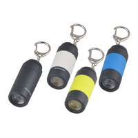 Porte-clés rechargeable par USB Lampe de poche LED Mini torche légère avec lampe porte-clés pour les cadeaux promotionnels du centre commercial