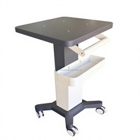 Chariot de spa en acier inoxydable avec roulettes, chariot de rangement roulant portable pour salon de beauté, adapté aux coiffeurs et aux esthéticiennes