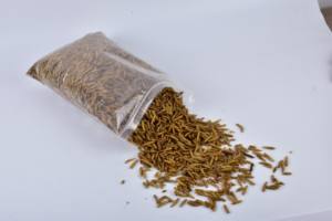 Vers larves de mouches de soldats noirs séchés pour l'alimentation des poissons de cochon de cheval emballés dans des sacs - Product Image 2