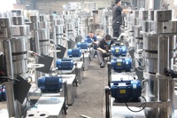 Machine d'extraction d'huile automatique Lewin 230A pour noix de coco, olive, camélia, moutarde, avocat, noix – Presse hydraulique à froid haute performance
