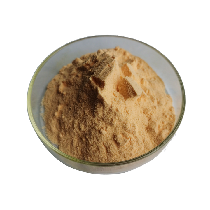 Good Price Natural Instant Kombucha Tea Powder - 2 Year Shelf Life