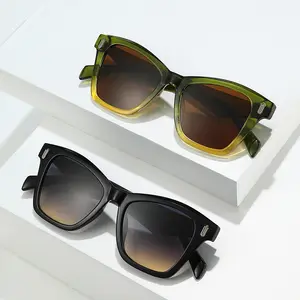 European And American Trendy Street Style Retro Sunglasses Oversized Cat Eye Leopard Color Frame Sunglasses