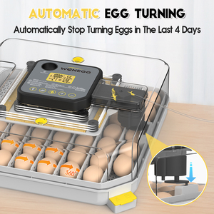 Incubadora de Huevos WONEGG 48H Mini de Doble Potencia Totalmente Automática con Certificado CE FCC - Product Image 3