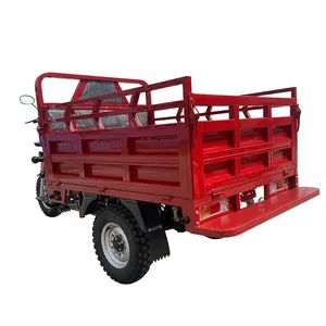 Factory Supplier Africa Water Cold Engine 3 Wheel Tricycle 200cc Farming Loading Motor Tricycle China