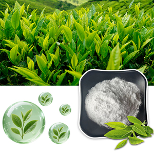 Thé vert naturel, matière première, L-théanine 99% pure, complément en vrac, poudre de L-théanine - Product Image 4