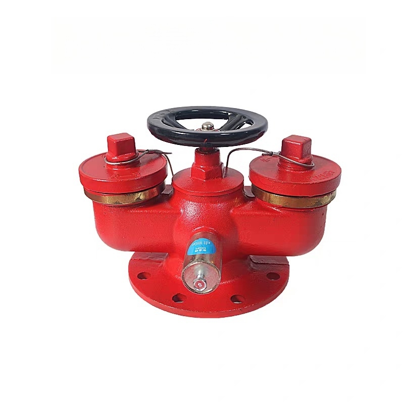 Heavy-Duty Cast Iron Fire Hose Pump Couplings Industrial Firefighting Equipment & Accessory for Protection Systems