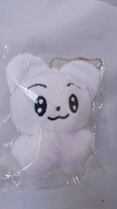 Usine En Gros KPOP Porte-clés Doux En Peluche Poupée Couette avec Lapin <span class=keywords><strong>Pingouin</strong></span> TXT PP Coton Remplissage et Peluche Sac Pendentif - Product Image 5