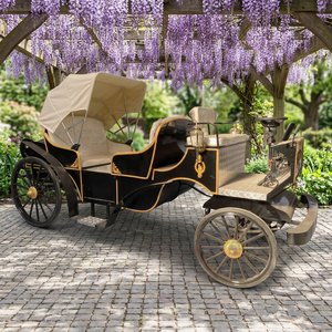Chariot de tourisme électrique sans chevaux noir, modèle de chariot de mariage, best-seller du fabricant - Product Image 1