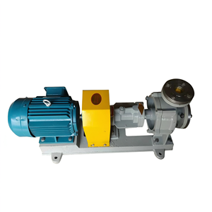 Pompe de circulation d'huile chaude haute température en fonte refroidie par air pour système de chaudière à huile thermique - Product Image 1