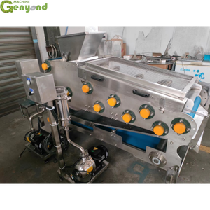 เครื่องคั้นน้ำผลไม้สายพานขนาดเล็กแบบกดสำหรับแอปเปิ้ลส้มลูกแพร์ - Product Image 2