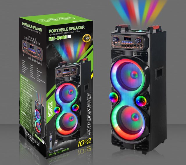 Double 10 Inch Smart Party Speaker with Wireless Mic and Multicolor LED Lights for Home KTV and Small Events