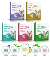 HODAF OEM Vente en gros Patchs détoxifiants 2-en-1 pour les pieds, Tampons Kinoki nettoyants en profondeur, 10 pièces par boîte, 5 parfums pour un meilleur sommeil, En stock