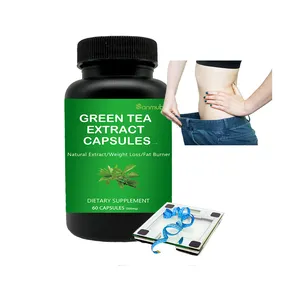 حبوب الشاي الأخضر النباتي ومستخلص الشاي الأخضر لحرق الدهون كبسولات الشاي الأخضر النقي من متمم المعدات الأصلي