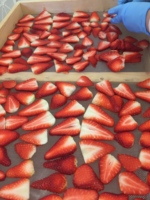 Fraises séchées biologiques AD 500G Uniques et irrésistibles