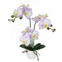 Plante artificielle d'orchidée de 46 cm de haut avec pot en ciment, fleurs d'orchidée artificielles