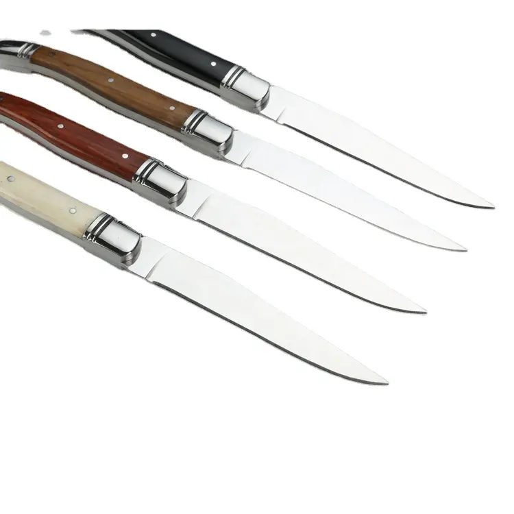Plus populaire Offre Spéciale 6 pièces coffret de couteaux de table laguiole avec corne ou en os poignée du fournisseur de la chine