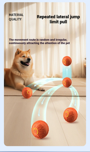 ของเล่นแมวแบบอินเทอร์แอคทีฟ360 ° ลูกบอลอัจฉริยะสำหรับสุนัขทำงานอัตโนมัติพร้อมที่ชาร์จ USB