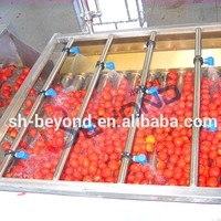 Vruchtensap Productie Kleine Hoge Snelheid Avocado Sorteren Machine