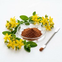 Poudre d'extrait végétal naturel de qualité alimentaire, rapport 10:1, 0,3 % d'hypericine, poudre fine (80-120 mesh), UV/HPLC