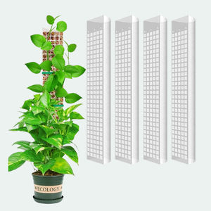 Postes de Musgo Recubiertos de Plástico de 24 Pulgadas, Paquete de 4 Unidades, para Monstera, Filodendros y Plantas Trepadoras, Soporte de Musgo Sphagnum - Product Image 2