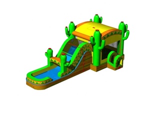 Hot thương mại Inflatable trẻ em trượt tùy chỉnh xương rồng trượt nước lớn trượt ngoài trời cho Đảng cho thuê - Product Image 4