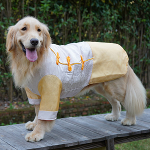 Manteau pour chien style Tang, rouge, en coton rembourré, chaud, pour l'hiver et l'automne, tenue festive pour grandes races, Golden Retriever, Labrador - Product Image 4