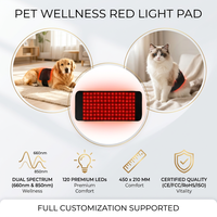 Tapis de luminothérapie LED portable à double longueur d'onde (660nm 850nm) pour animaux de compagnie, soulagement de la douleur pour le corps, les mains et les pieds OEM ODM