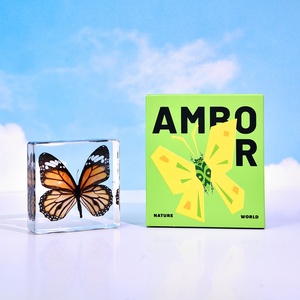 Hot Bán Nhựa Khối Chặn Giấy Trong Suốt Acrylic Taxidermy Động Vật Bất Bướm Mẫu Vật Cho Học Tập Quà Tặng Mới Lạ - Product Image 5