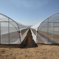 Serre tunnel simple en acier galvanisé à chaud, petite taille, avec film PE, montage facile pour la culture de tomates, poivrons et légumes