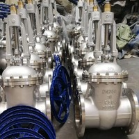 Válvula de Compuerta Industrial Profesional de Acero Fundido con Vástago Ascendente, Sello Metal a Metal y Acabado de Acero Inoxidable 316