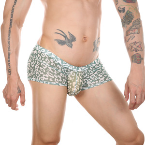 Lingerie respirante de style sexy pour hommes, caleçon taille basse en maille transparente à imprimé léopard en nylon/spandex - Product Image 2