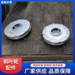 Impulsor cerrado con superficie pulida para bombas de vacío de anillo líquido y piezas de bombas centrífugas - Product Image 3