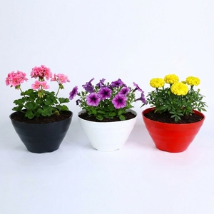 Fabricant vérifié, jardinières rectangulaires en plastique PP de haute qualité, pots à fleurs modernes ondulés pour l'intérieur et l'extérieur - Product Image 1