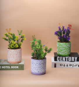 Pots en céramique de style nordique pour plantes Conception de bassin ventilé pour <span class=keywords><strong>Cactus</strong></span> Couvercles de pots de fleurs succulentes pour la maison et le jardin - Product Image 2