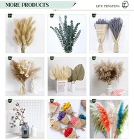 Meilleure vente Fluffy Reed Pampas Herbe Ensemble Bouquet De Fleurs Éternelles Poussière Fleur Fleur Séchée Fenêtre Boho Décoration Accessoires De Mariage