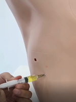 Modèle de Drainage Thoracique pour la Formation en Ponction de Pneumothorax et Hydrothorax – Simulateur de Formation Clinique