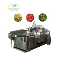 Hete verkoop Automatische RVS transportbanddroger voor mango fruit groente drooglijn motor continue ui verwerking